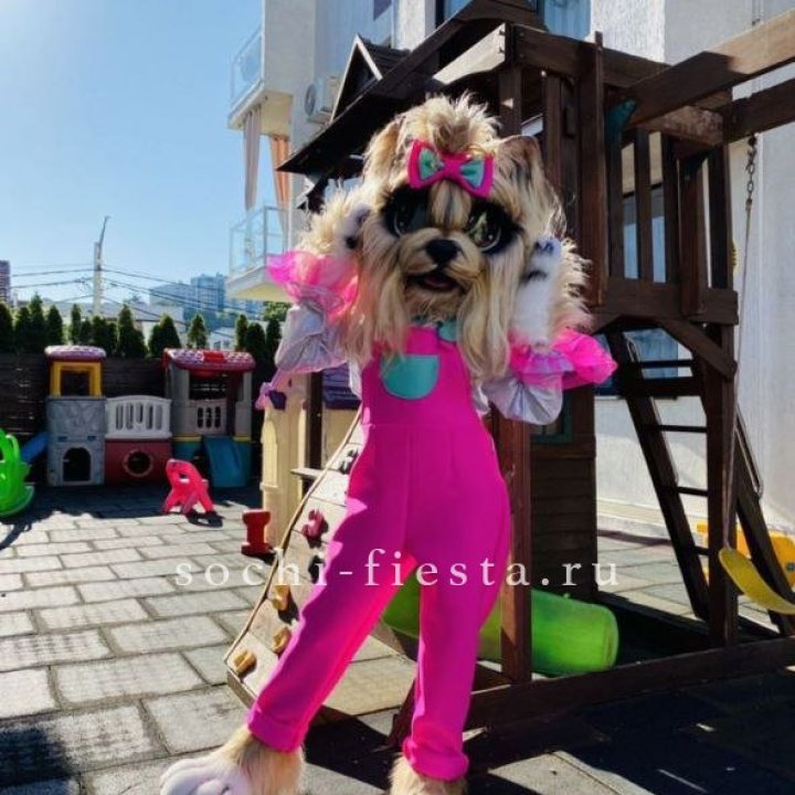 Аниматор Гламурная Собака в Абакане