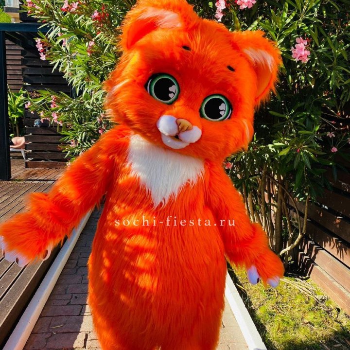 Аниматор Котик в Абакане