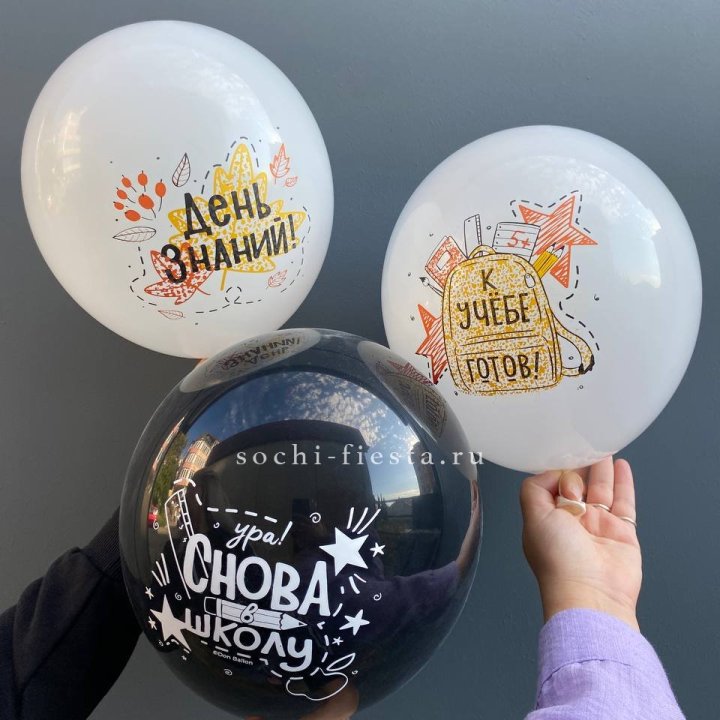 Воздушный шар к 1 сентября в Абакане