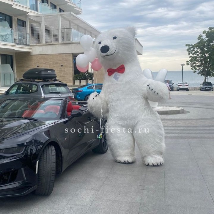 Аниматор Белый Медведь в Абакане