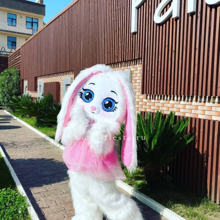 Аниматор Зайка в Абакане