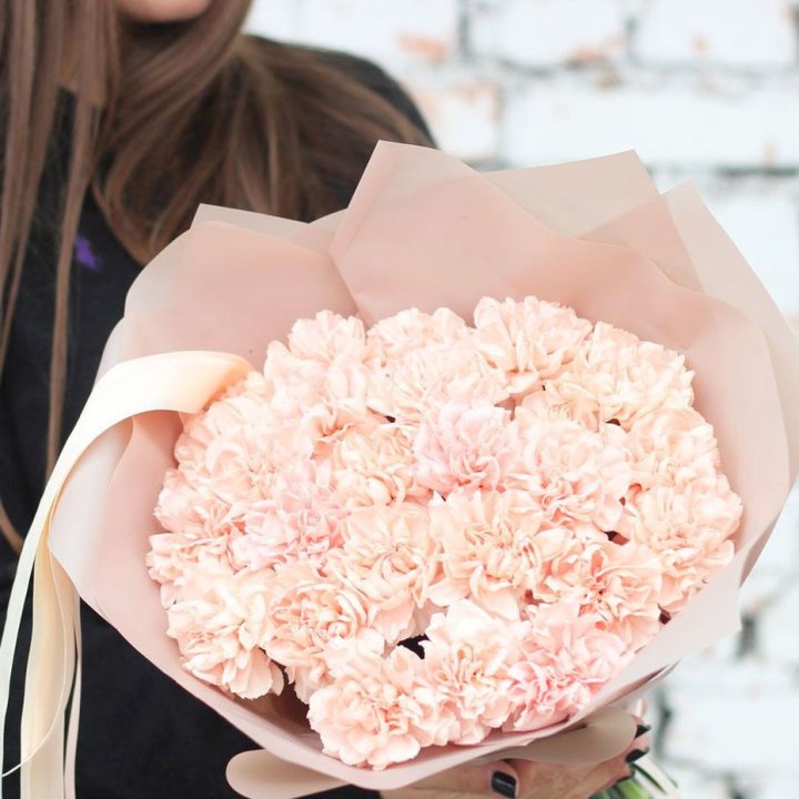 Диантусы №2 в Абакане