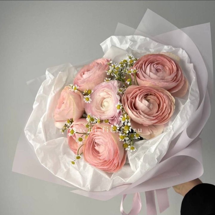 Ранункулюсы с ромашками в Абакане