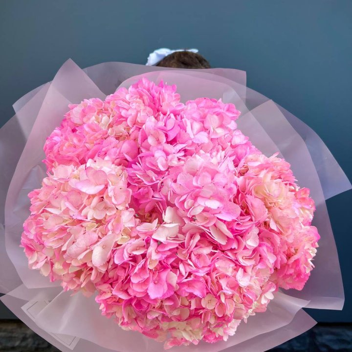 9 ярко розовых гортензий в Абакане