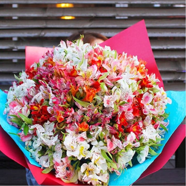 101 альстромерия в Абакане