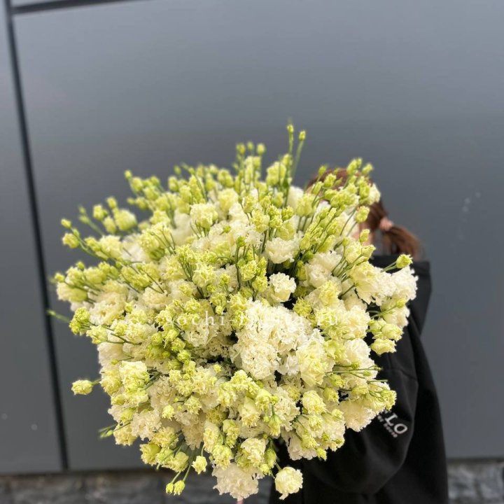 51 белая эустома в Абакане