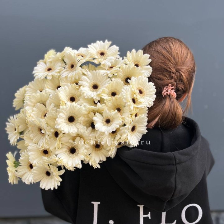 51 гербера в Абакане