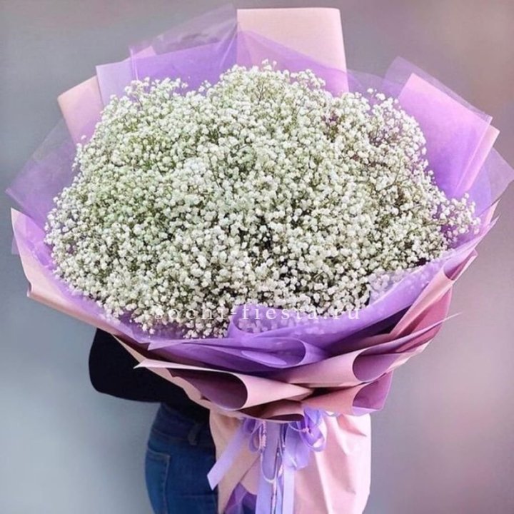 Облако белых гипсофил в Абакане