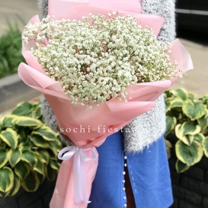 Белоснежные гипсофилы в Абакане