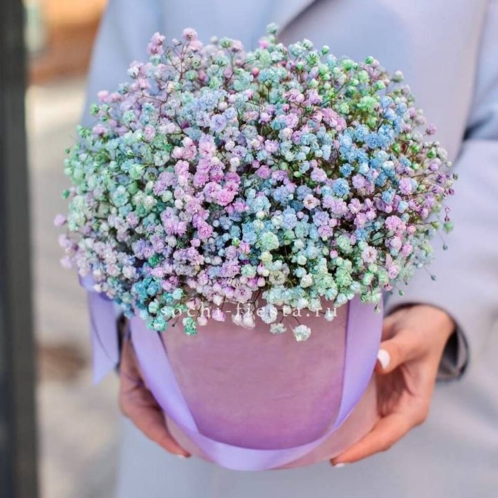 Гипсофилы в шляпной коробке "Кандилайт" в Абакане