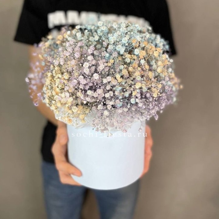 9 Радужных гипсофил в шляпной коробке в Абакане