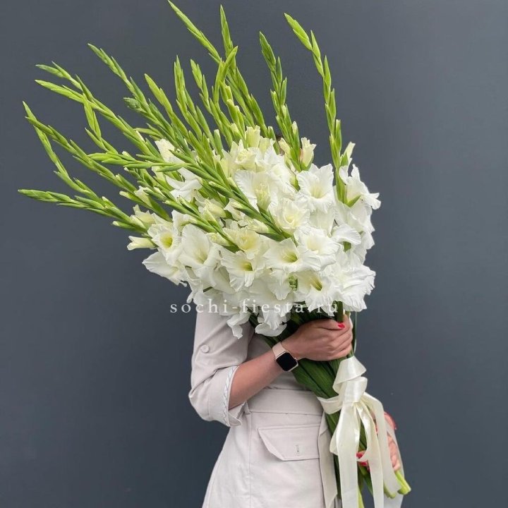 19 белых гладиолусов под ленту в Абакане