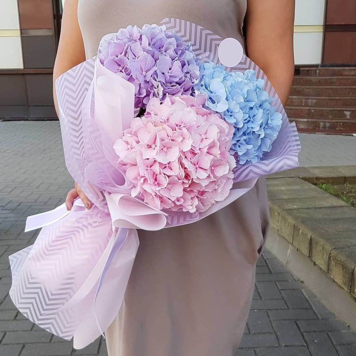 Букет гортензий "Пуф" в Абакане