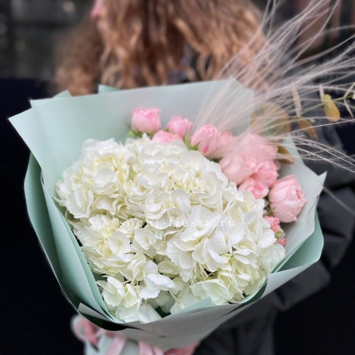 Гортензия "Жасмин" в Абакане