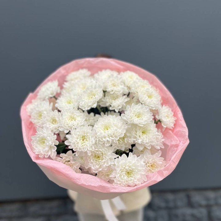  5 хризантем  в Абакане