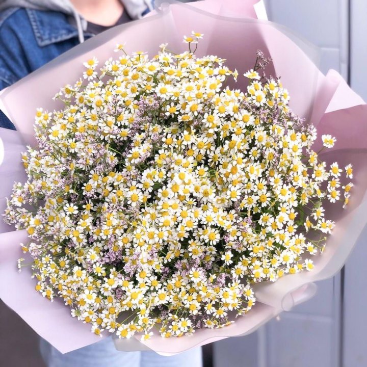 Букет ромашек №1 в Абакане