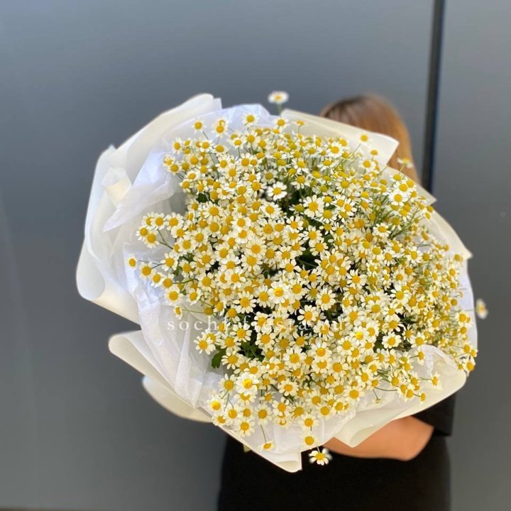 Букет ромашек "Фемели" в Абакане