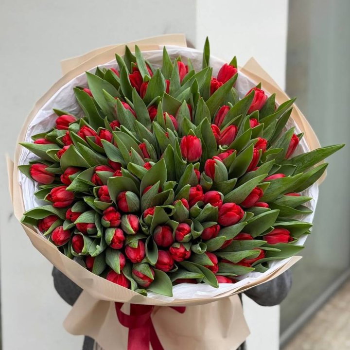 101 красный тюльпан в Абакане