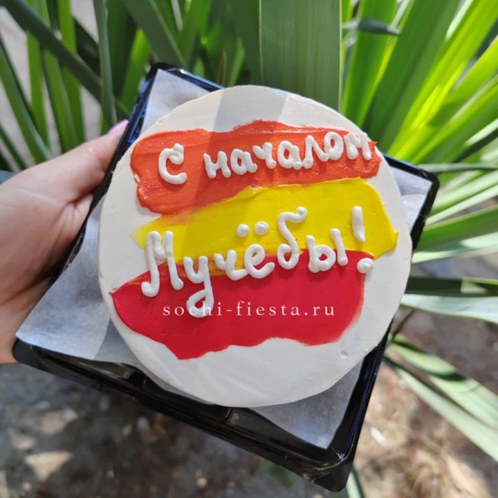 Бенто-торт "С началом учёбы"" в Абакане