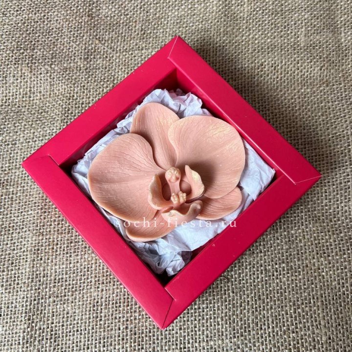 Бельгийский шоколад Орхидея в Абакане