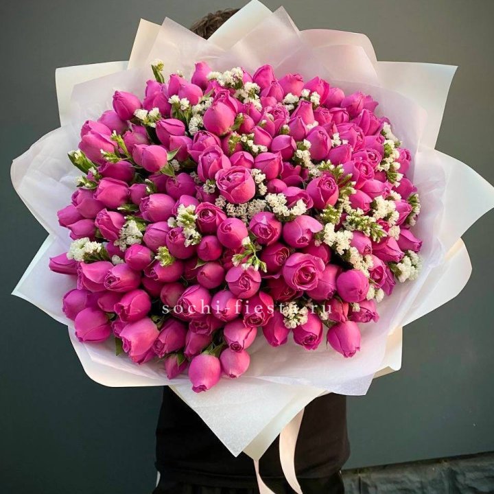 51 пионовидная Мисти Баблс  в Абакане