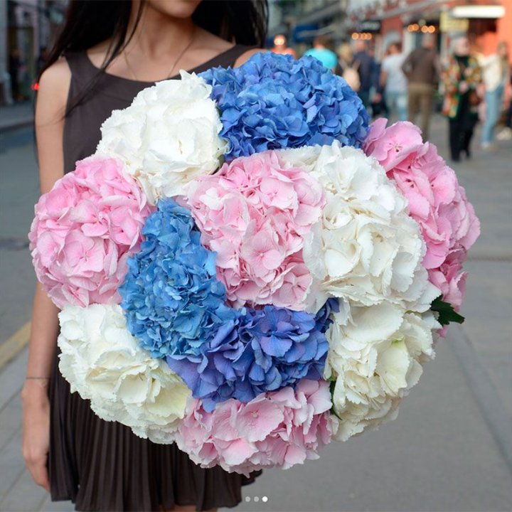 Букет гортензий "Инь-Янь" в Абакане