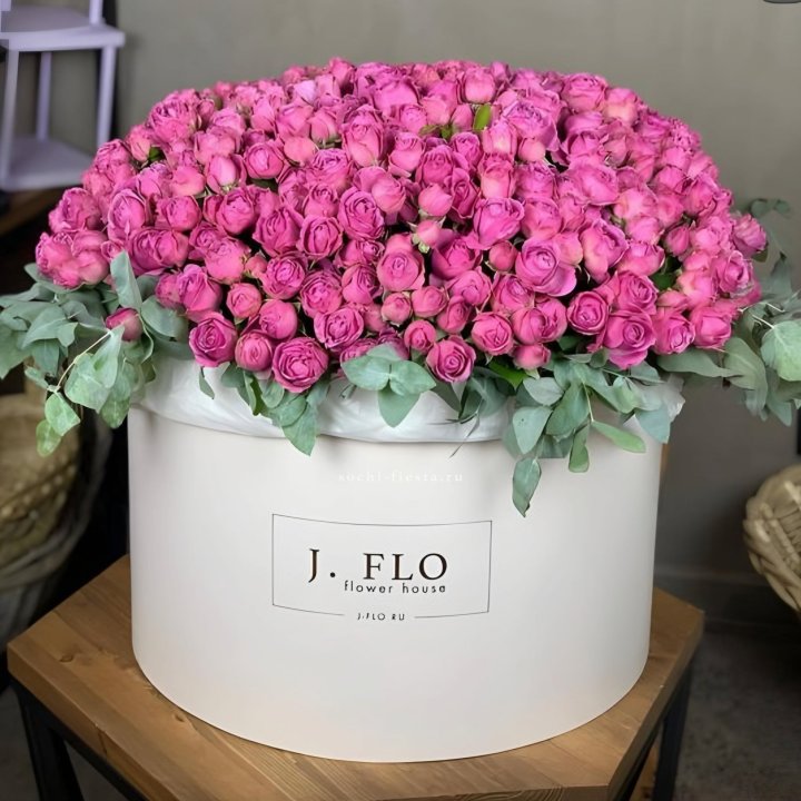 Цилиндр с Мисти Бабблс  в Абакане