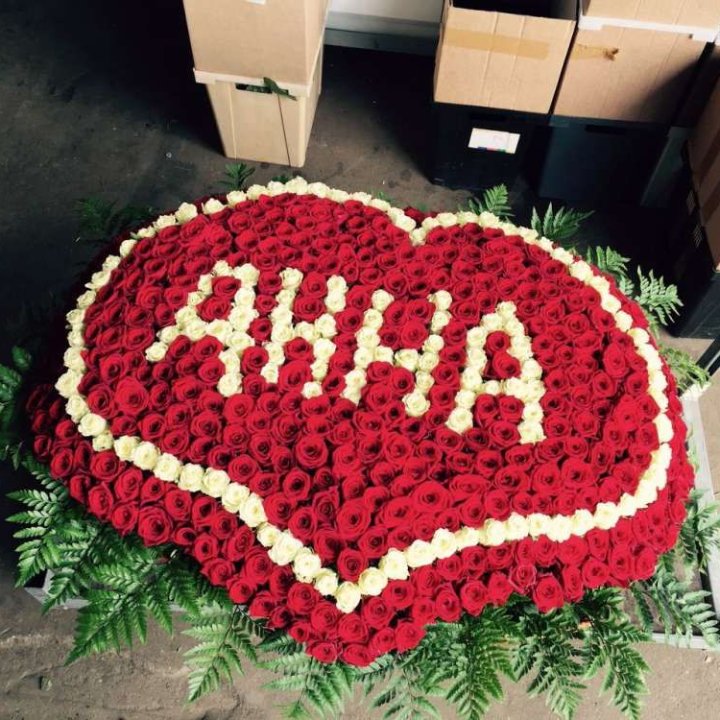 555 роз с именем в Абакане