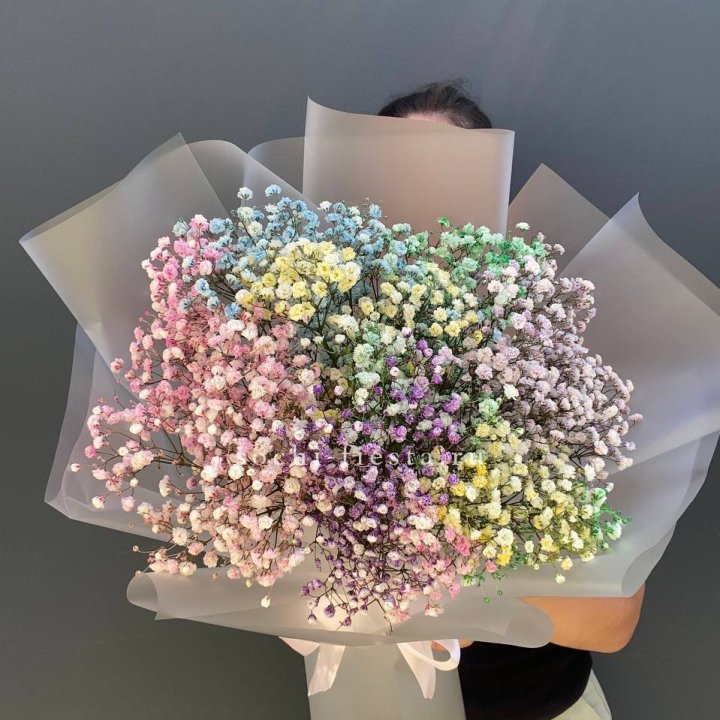 Радужные гипсофилы  в Абакане