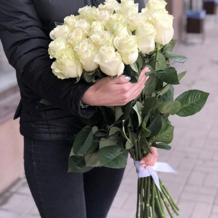 Голландские розы белые в Абакане