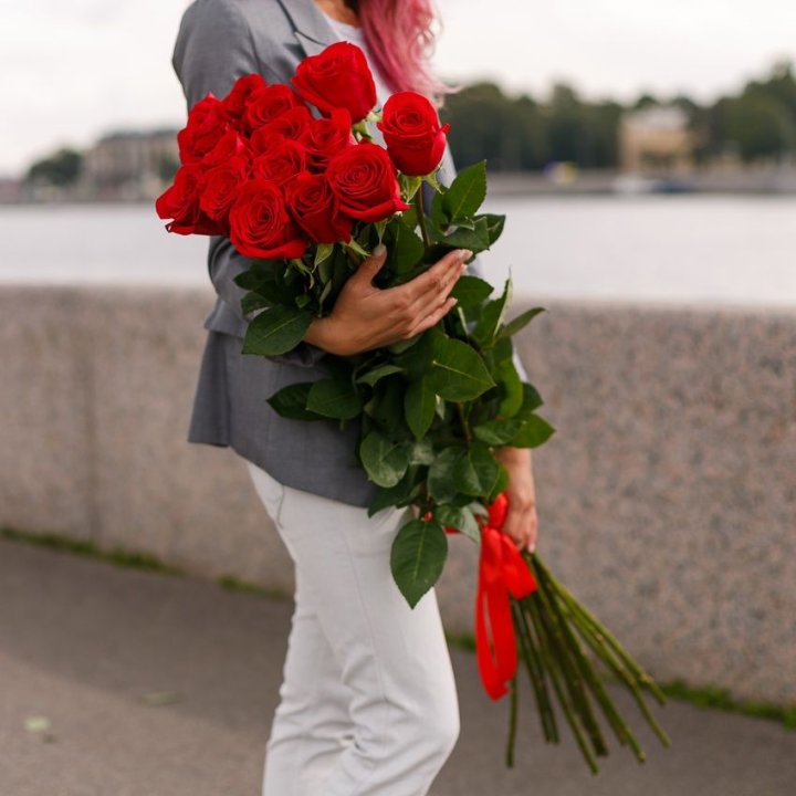 15 метровых голландских роз в Абакане