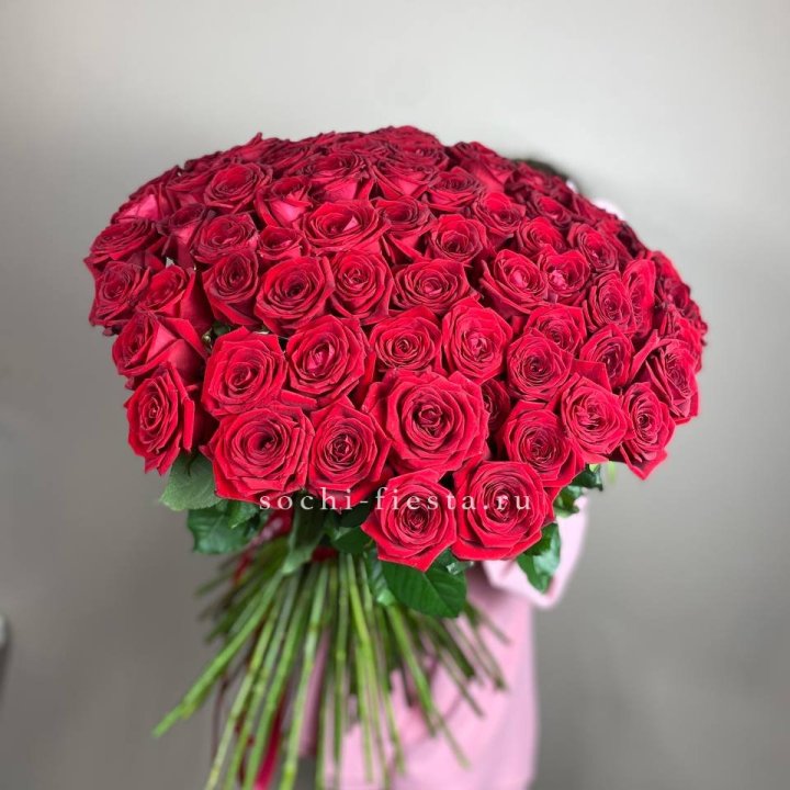 101  голландская роза  в Абакане