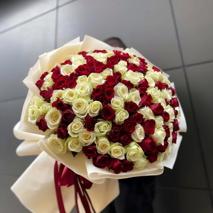 101 высокая импортная роза  в Абакане