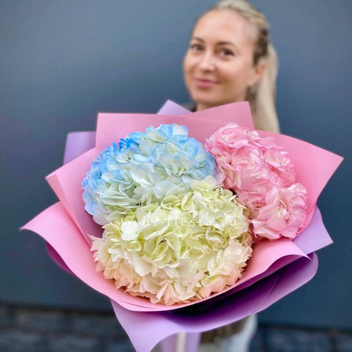 Букет гортензий "Тоника" в Абакане