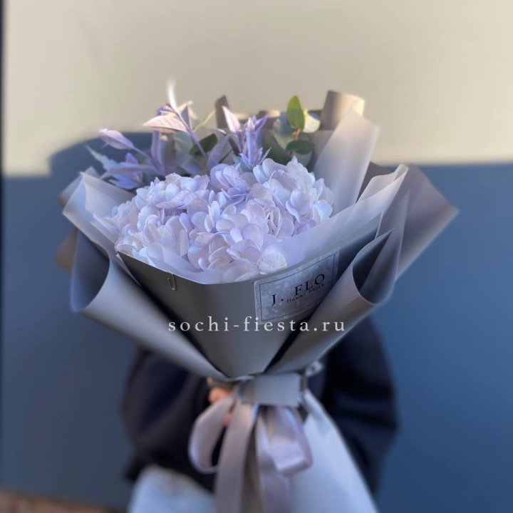 Гортензия "Виолета" в Абакане
