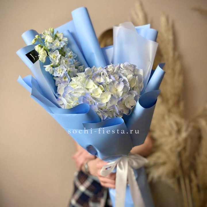 Гортензия "Блю скай" в Абакане