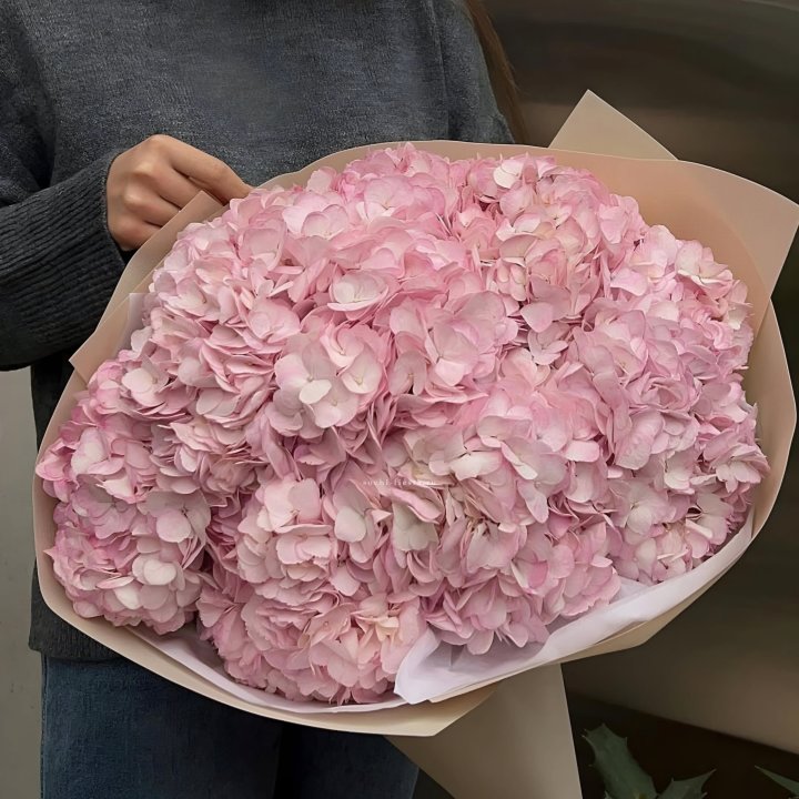 Гортензия  "РОЗЕ" в Абакане