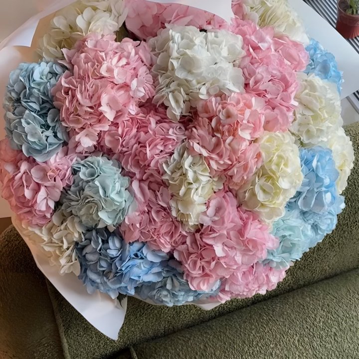 Букет гортензий микс в Абакане