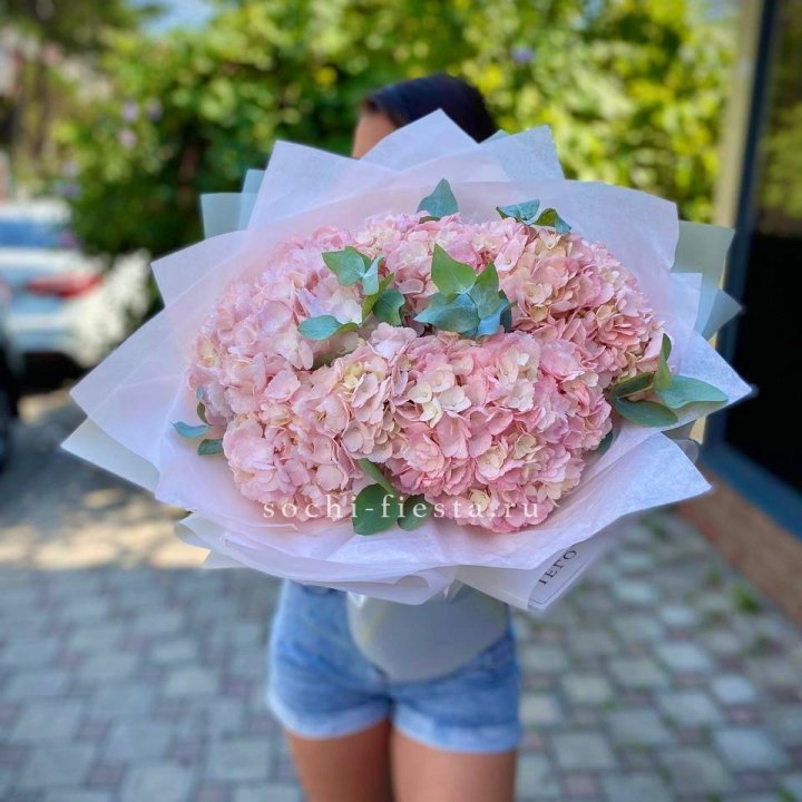 5 розовых гортензий  в Абакане