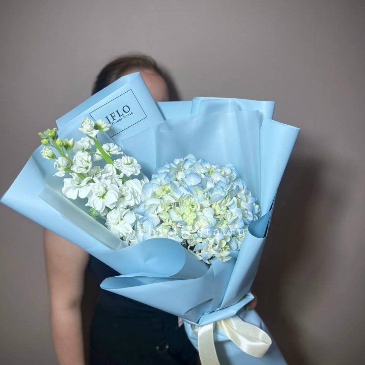 Гортензия голубая с маттиолой в Абакане