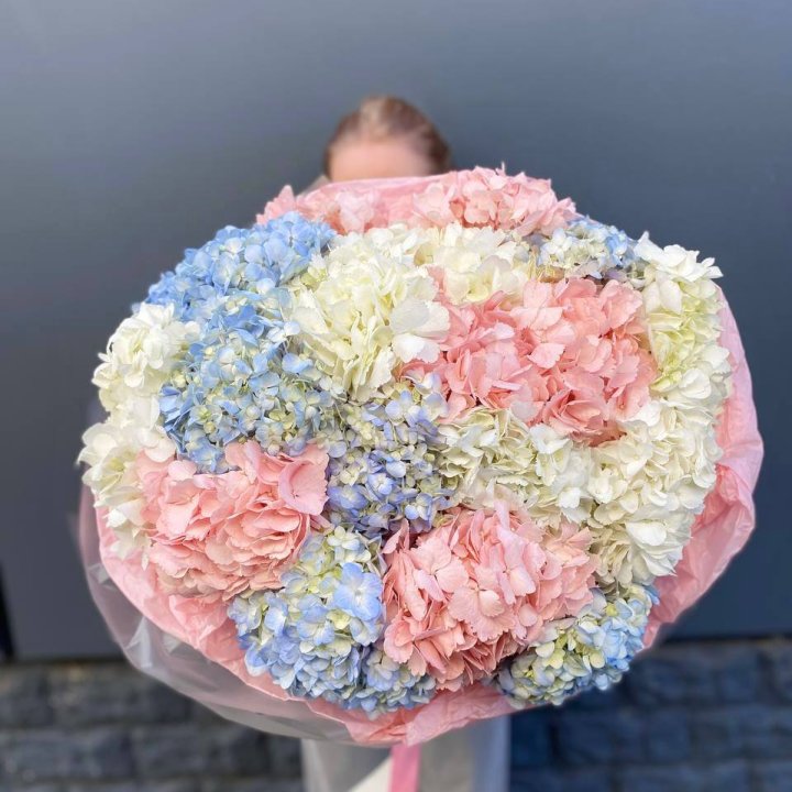 19 гортензий микс в Абакане