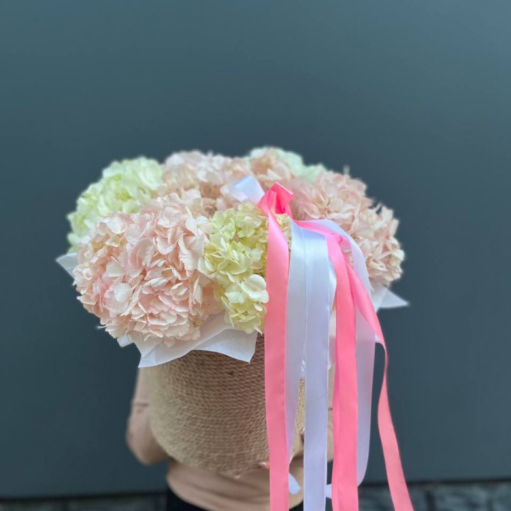 7 гортензий в кашпо в Абакане