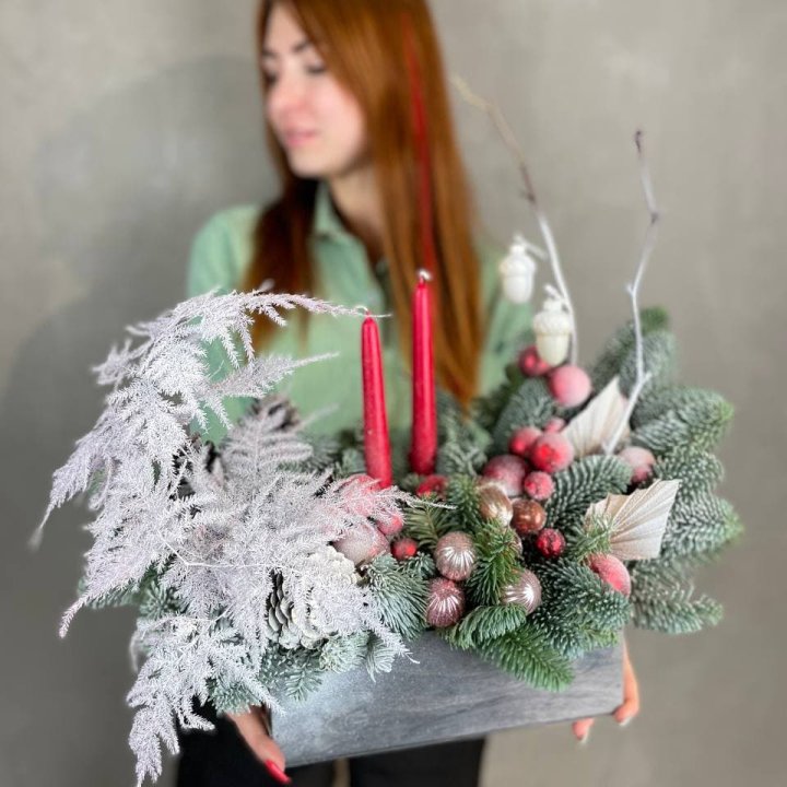 Бокс красный с нобилисом в Абакане