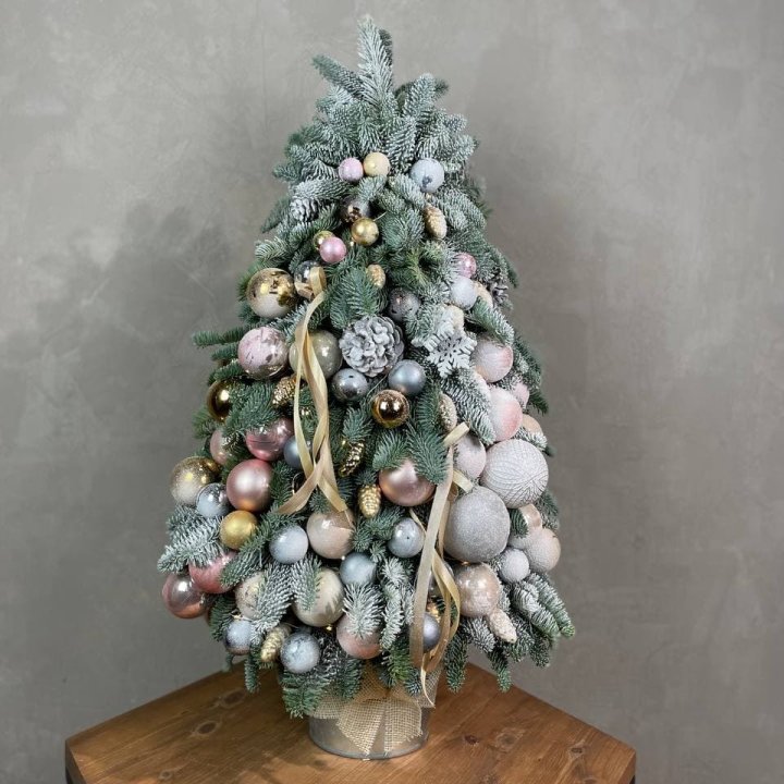 Новогодняя ёлка из веток датского нобилиса в Абакане