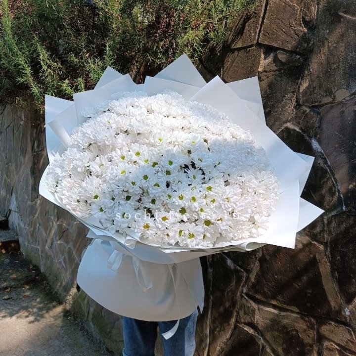 Облако хризантем №2 в Абакане