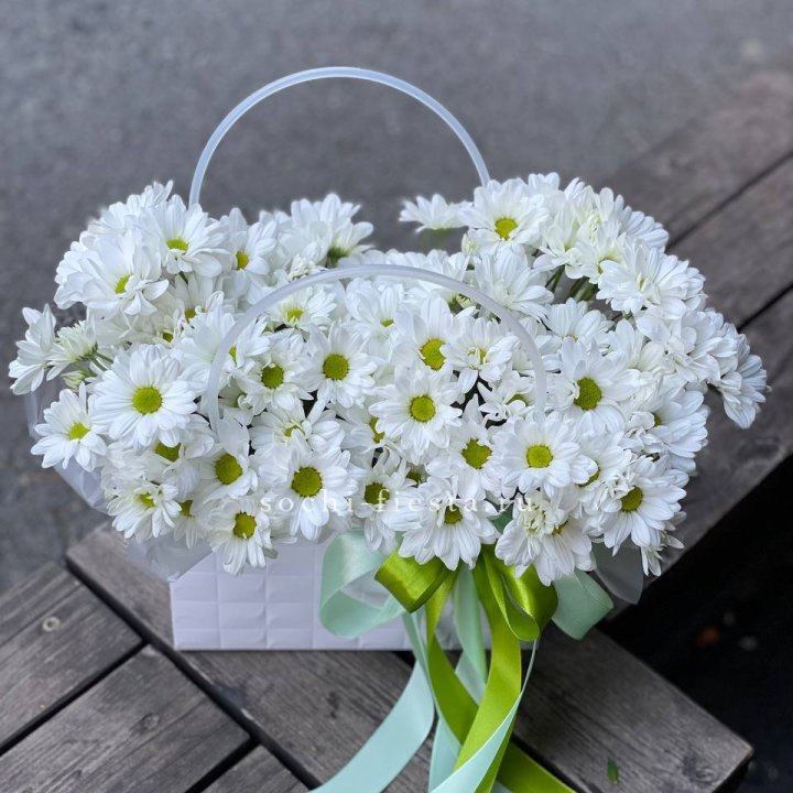 Сумка с хризантемами ромашками в Абакане