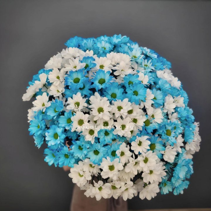  Букет хризантем микс в Абакане