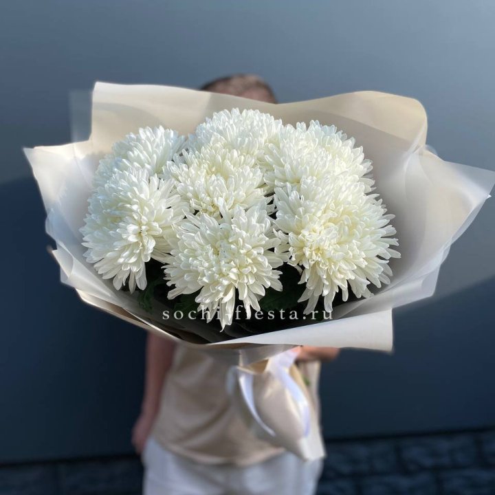 Профитроли в Абакане