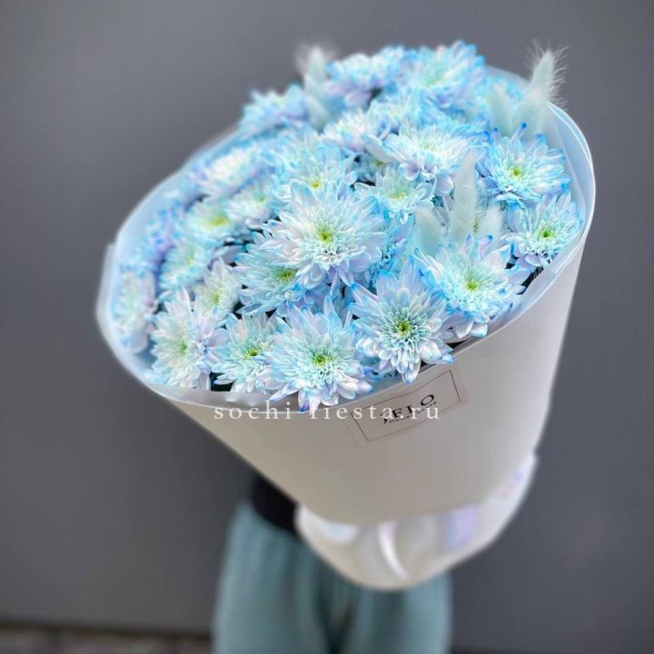  Букет нежно-голубых хризантем  в Абакане