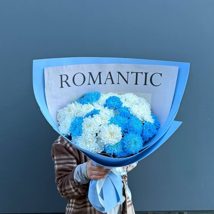 Дуо хризантем в Абакане